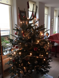 preparare l'albero