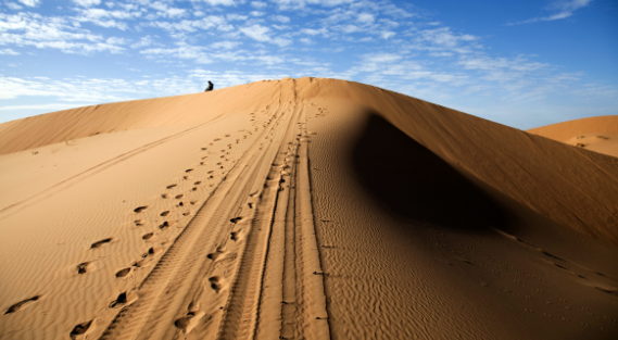 quaresima e deserto