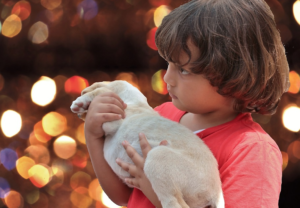 cucciolo e presepe