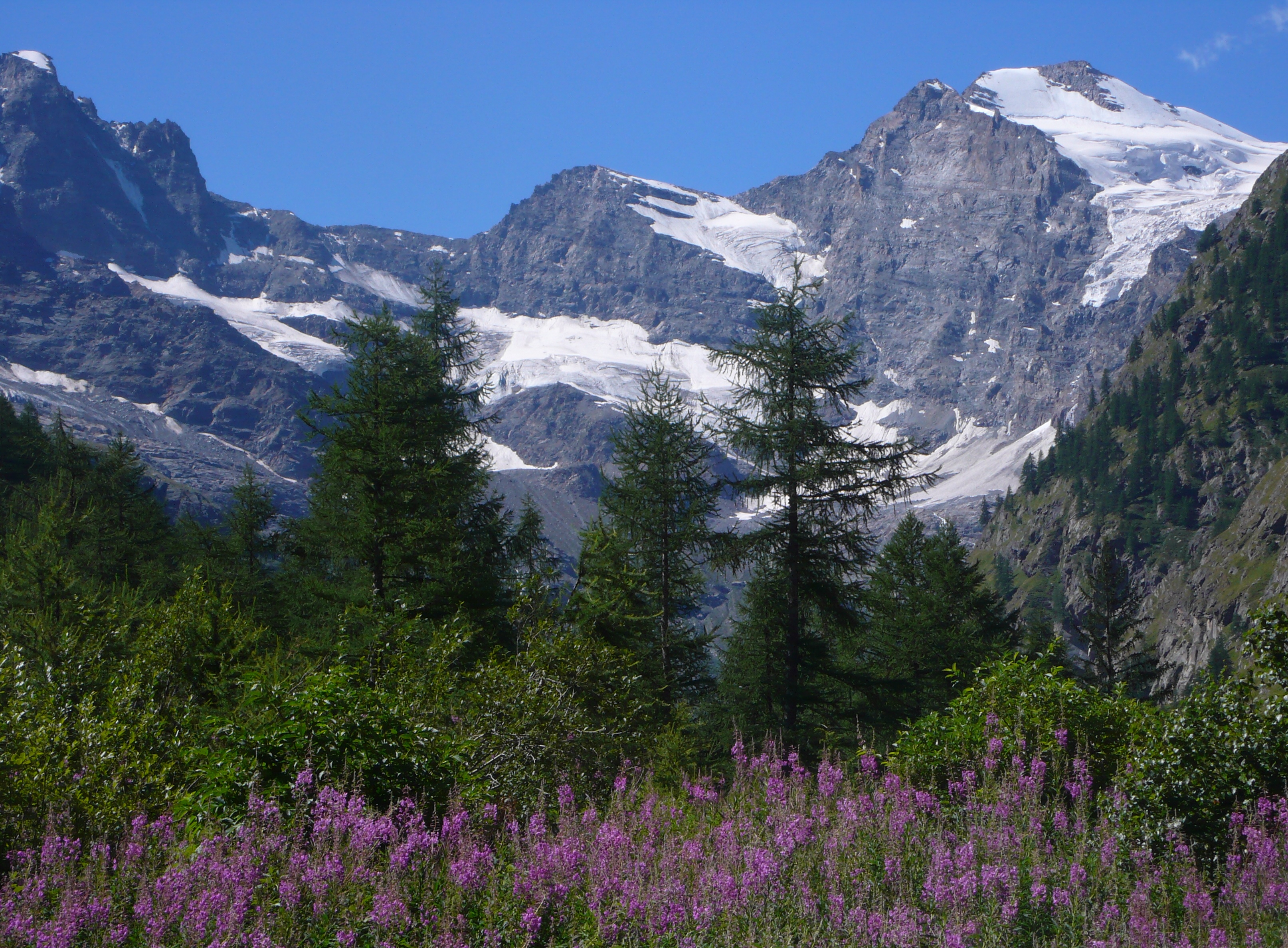 Paesaggio alpino 3